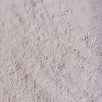 Zilverzand - Veelgestelde Vragen